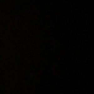 Meet your Posher, Gavin